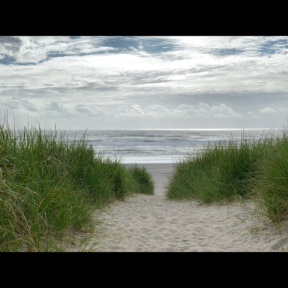 Meet your Posher, In - Picture 1 of 1